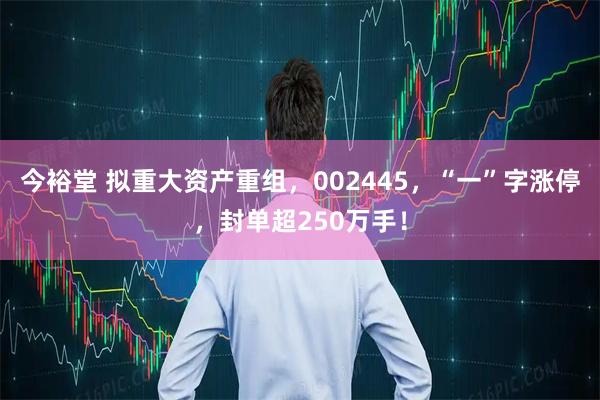 今裕堂 拟重大资产重组，002445，“一”字涨停，封单超250万手！